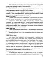 Referāts 'Tūrisma attīstības iespējas Ainažu pilsētā un tās lauku teritorijā', 9.