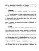 Referāts 'Tūrisma attīstības iespējas Ainažu pilsētā un tās lauku teritorijā', 16.