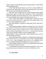 Referāts 'Tūrisma attīstības iespējas Ainažu pilsētā un tās lauku teritorijā', 18.