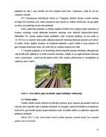 Referāts 'Tūrisma attīstības iespējas Ainažu pilsētā un tās lauku teritorijā', 25.