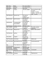 Konspekts 'Vācu valoda juristiem no O.Pribitokas grāmatas', 19.