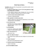 Eseja 'Intervija ar lamu', 1.