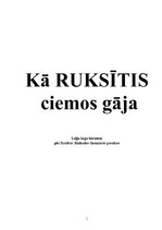 Konspekts 'Leļļu teātris (pirmsskolas vecuma bērniem)', 1.