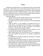 Referāts 'DPD un DHL uzņēmuma reputācijas analīze', 13.