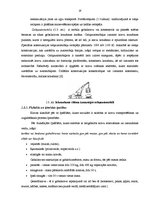 Diplomdarbs 'SIA "Transgros" starptautisko lielgabarīta kravu pārvadāšanas organizēšana', 17.