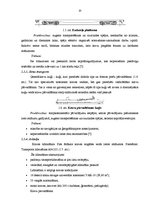 Diplomdarbs 'SIA "Transgros" starptautisko lielgabarīta kravu pārvadāšanas organizēšana', 19.