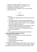 Diplomdarbs 'SIA "Transgros" starptautisko lielgabarīta kravu pārvadāšanas organizēšana', 20.