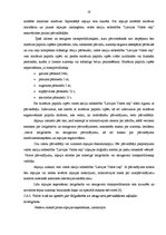 Diplomdarbs 'SIA "Transgros" starptautisko lielgabarīta kravu pārvadāšanas organizēšana', 23.