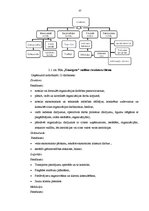Diplomdarbs 'SIA "Transgros" starptautisko lielgabarīta kravu pārvadāšanas organizēšana', 36.