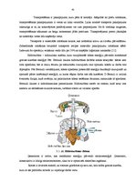 Diplomdarbs 'SIA "Transgros" starptautisko lielgabarīta kravu pārvadāšanas organizēšana', 44.