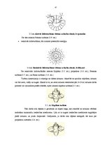 Diplomdarbs 'SIA "Transgros" starptautisko lielgabarīta kravu pārvadāšanas organizēšana', 46.