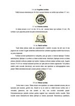 Diplomdarbs 'SIA "Transgros" starptautisko lielgabarīta kravu pārvadāšanas organizēšana', 47.