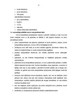 Diplomdarbs 'SIA "Transgros" starptautisko lielgabarīta kravu pārvadāšanas organizēšana', 52.