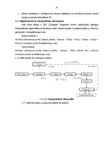 Diplomdarbs 'SIA "Transgros" starptautisko lielgabarīta kravu pārvadāšanas organizēšana', 53.