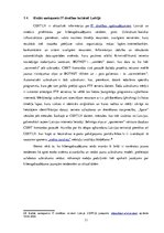 Referāts 'Kiberapdraudējumu jauno tendenču raksturojums', 11.