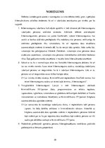 Referāts 'Kiberapdraudējumu jauno tendenču raksturojums', 20.