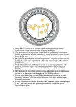 Konspekts 'Auto riepu balansēšana', 3.