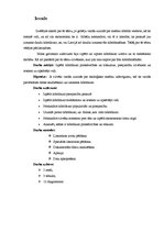 Referāts 'Hibrīdauto priekšrocības un trūkumi', 3.