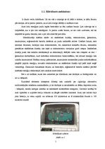 Referāts 'Hibrīdauto priekšrocības un trūkumi', 5.