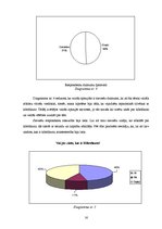Referāts 'Hibrīdauto priekšrocības un trūkumi', 16.