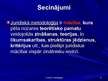 Prezentācija 'Juridiskās metodoloģijas jēdziens, priekšmets un struktūra', 19.