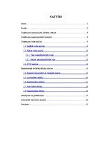 Prakses atskaite 'Prakse "X" uzņēmumā', 1.