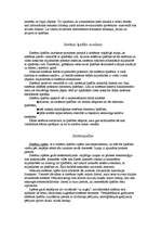 Referāts 'Sistēmas ap mums un mēs sistēmās', 5.