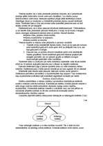 Referāts 'Sistēmas ap mums un mēs sistēmās', 8.