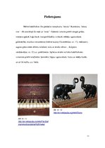 Referāts 'Melnkoks', 11.