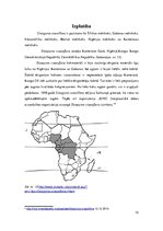 Referāts 'Melnkoks', 12.