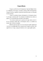 Referāts 'Melnkoks', 13.