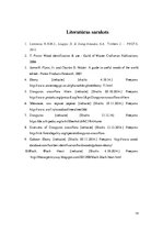 Referāts 'Melnkoks', 14.