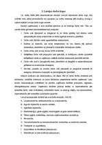 Referāts 'Diskriminācijas novēršanas problēma Latvijas darba tirgū un uzņēmumā', 5.