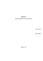 Referāts 'Inflācija', 1.