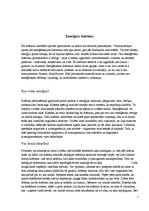 Referāts 'Limonādes', 7.