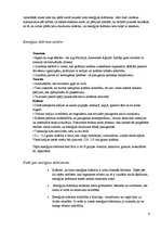 Referāts 'Limonādes', 8.