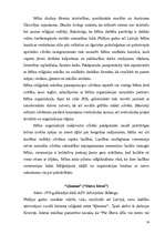 Referāts 'Kā jaunās reliģijas, kuras iepriekš Latvijai nebija raksturīgas, ietekmē sabiedr', 13.