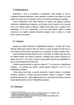 Referāts 'Paralēlā tirdzniecība', 9.