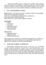 Konspekts 'Finanšu teorija', 4.