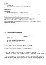 Konspekts 'Finanšu teorija', 10.