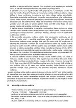 Konspekts 'Finanšu teorija', 19.