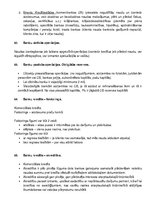 Konspekts 'Finanšu teorija', 35.