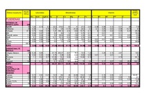 Referāts 'Sabalansēta dienas ēdiekarte', 3.