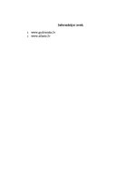 Referāts 'Kultūra un saskarsme. Saskarsmes stili', 6.