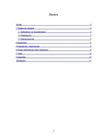 Prakses atskaite 'Prakses atskaite. Polijas informācijas centrs "Tūris"', 2.