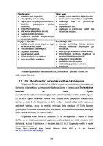 Diplomdarbs 'Personāla motivācija kā uzņēmuma "X celtniecība" konkurētspējas faktors', 29.