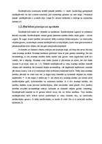 Referāts 'Kardānpārvadu un kardānvārpstu pielietojums automobiļos', 12.