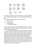 Referāts 'Kardānpārvadu un kardānvārpstu pielietojums automobiļos', 32.