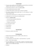 Konspekts 'Prasījumi no darba attiecībām', 2.