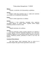 Prakses atskaite 'Valsts prakses dienasgrāmata', 3.